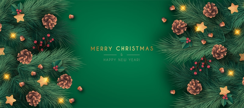 Christmas Pine Branches with Pine Cones and Stars
