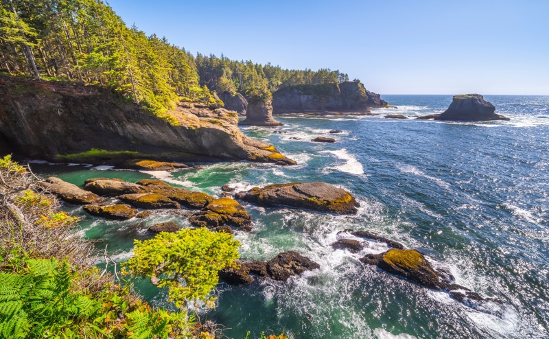Cape Flattery Coastline with Rocky Outcrops and Forest