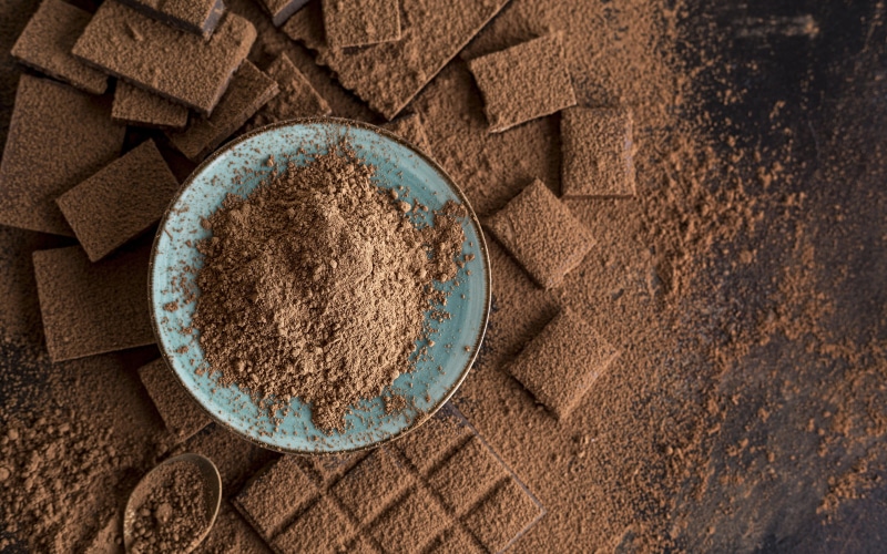 Chocolate bar pieces and cocoa powder on a plate