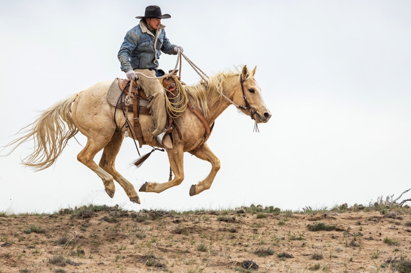 Cowboy riding a palomino horse jumping over a hill