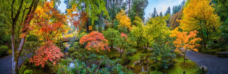 Seattle Japanese Garden Panorama in Autumn