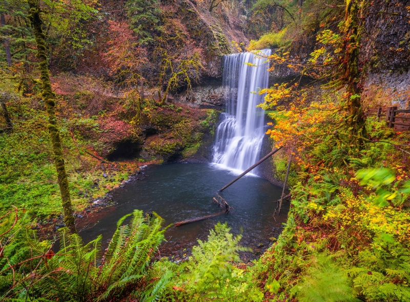 Silver Falls State Park in Autumn, Oregon, USA