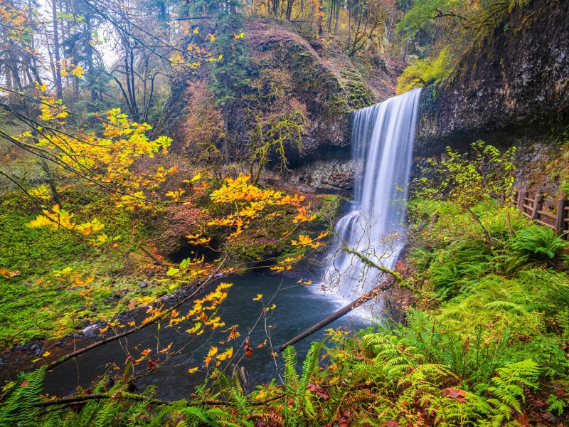 Silver Falls State Park Waterfall in Autumn