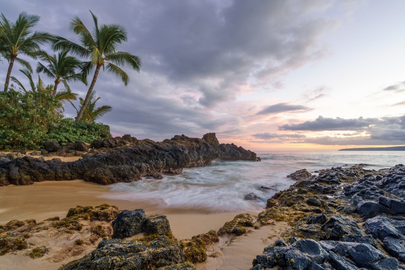 Maui Coast with Palm Trees and Rocky Shoreline at Sunset