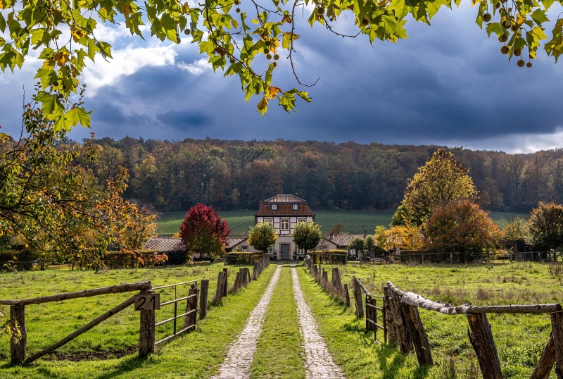 Autumn scene with a house and a road in Derneburg, Germany
