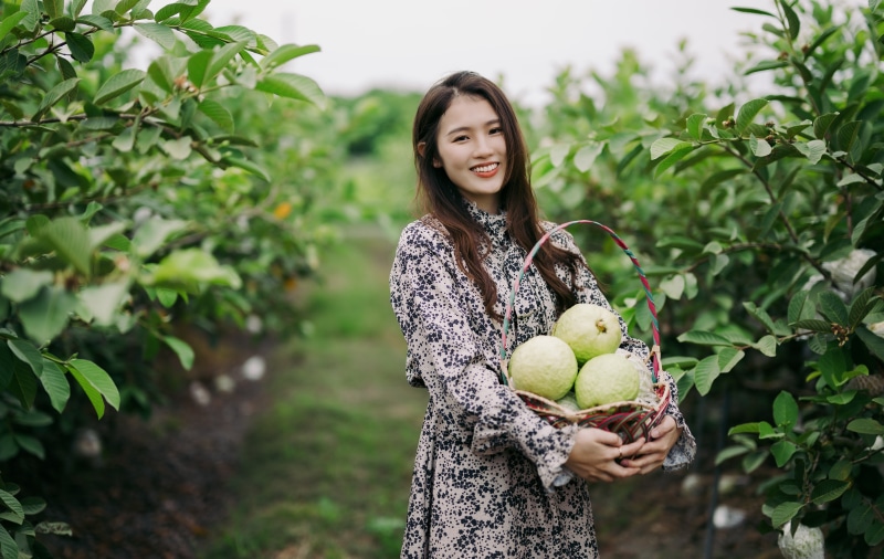Asian girl holding a basket of guavas in a garden