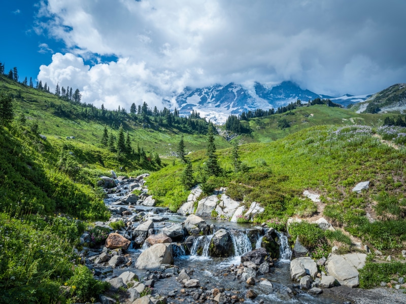 Mount Rainier National Park Stream and Mountains