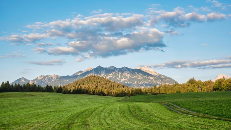 Mountains and green fields in Bavaria, Germany