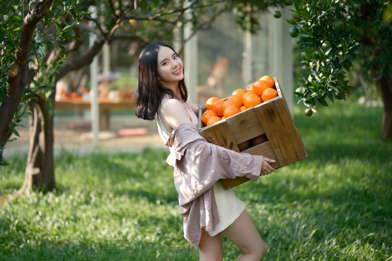 Asian woman carrying a crate of oranges