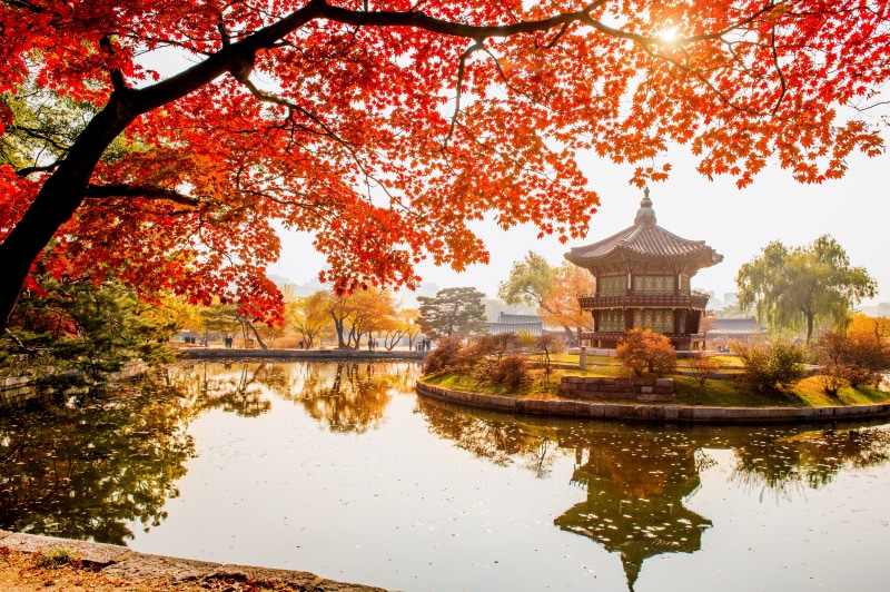 Gyeongbokgung Palace Pagoda in Autumn, Seoul, South Korea