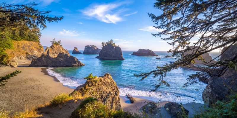 Secret Beach, USA Coast with Sea Stacks