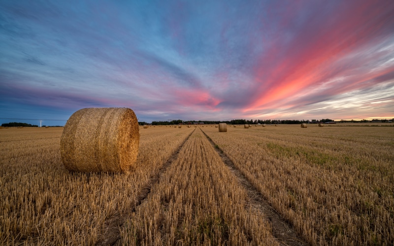 Hay bales in a field at sunset in Sweden