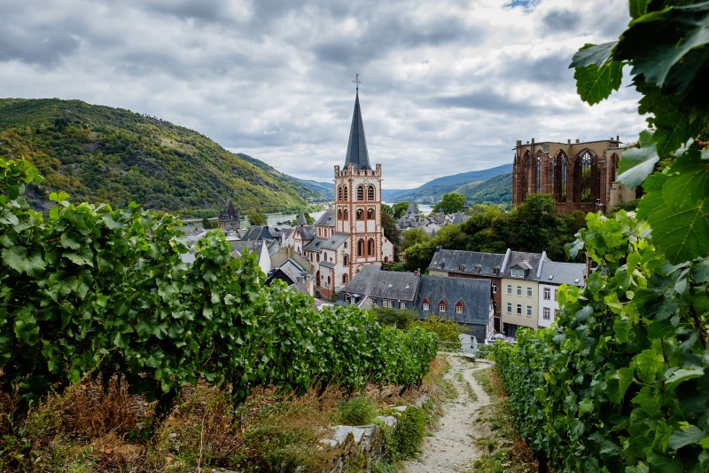 Bacharach, Germany: Church, Mountains, and Vineyard