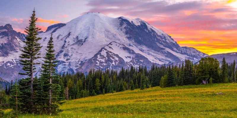 Mount Rainier National Park at Sunset