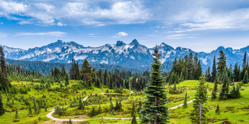Mount Rainier National Park Washington USA Mountains Scenery