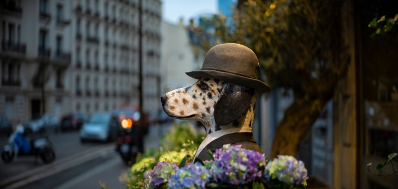 Dalmatian sculpture wearing a hat and suit