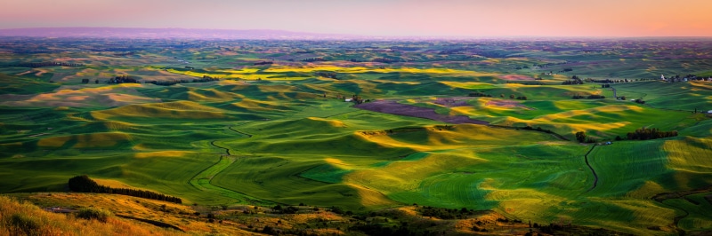 Palouse Scenery Panorama Fields Hill Washington USA