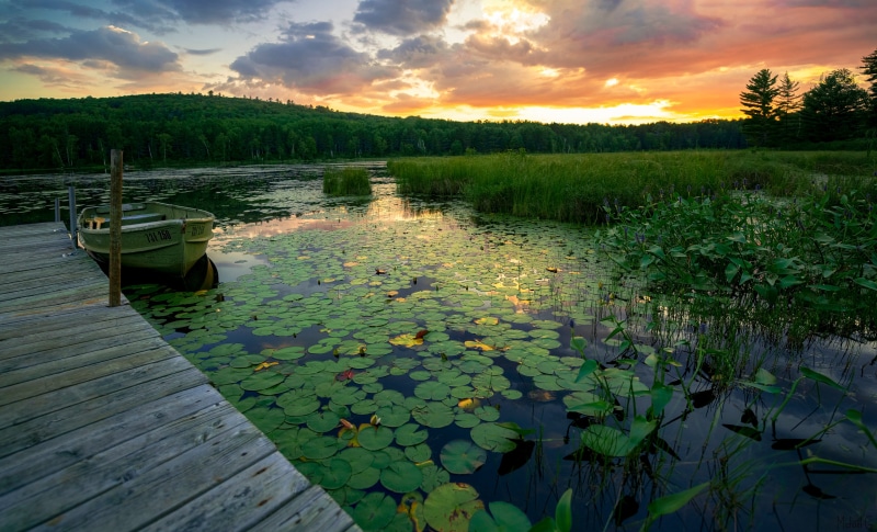 Boat docked on a lake with water lilies at sunset