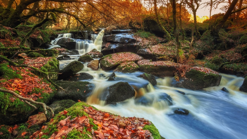 4K Autumn Waterfall in Brittany, France