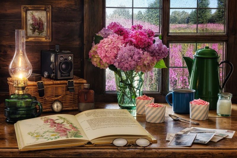 Still life with hydrangeas, book, and camera