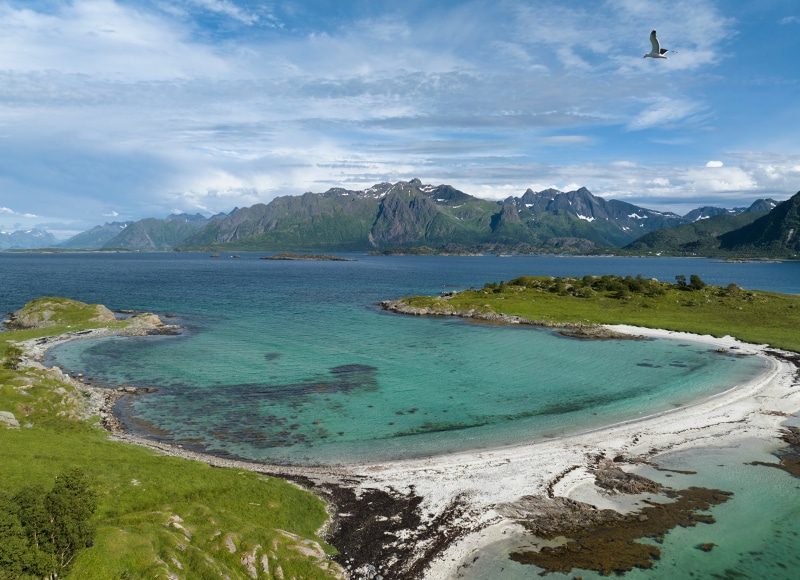 Lofoten, Norway Coastline with Mountains and Seagull
