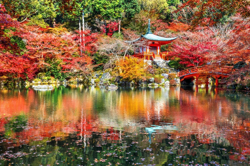 4K Daigoji Temple Kyoto Japan Autumn Pond Reflection
