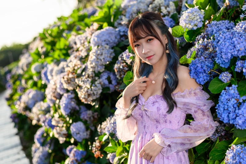 Asian woman in a purple dress among hydrangeas