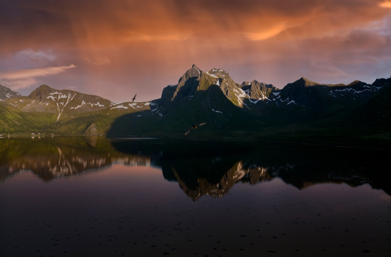 Morfjord, Norway: Mountains and Birds Reflected in Water