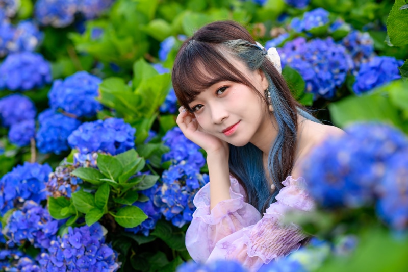 Asian girl with blue hair in hydrangeas