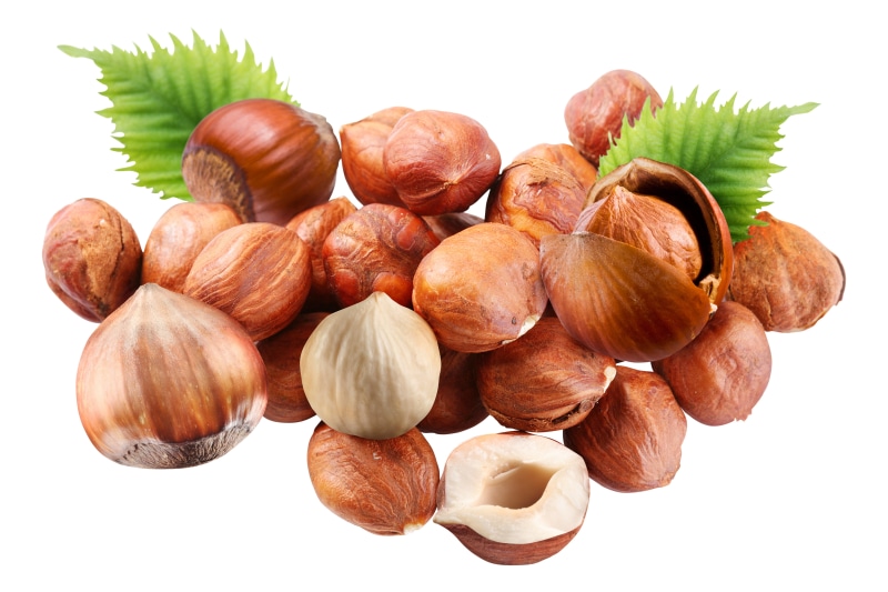 4K Hazelnut Nuts Closeup