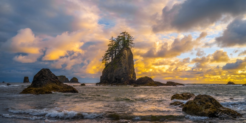 Sea stacks and trees on Second Beach, Olympic National Park