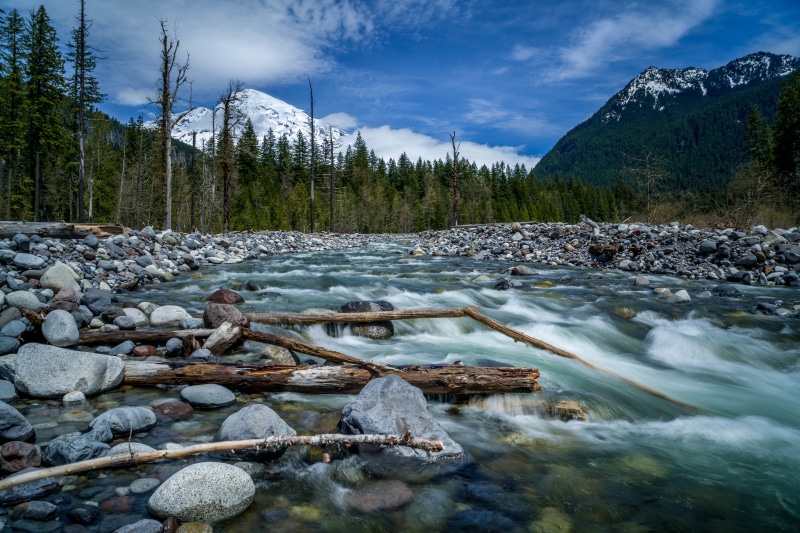 Mount Rainier National Park River with Snow-Capped Mountain