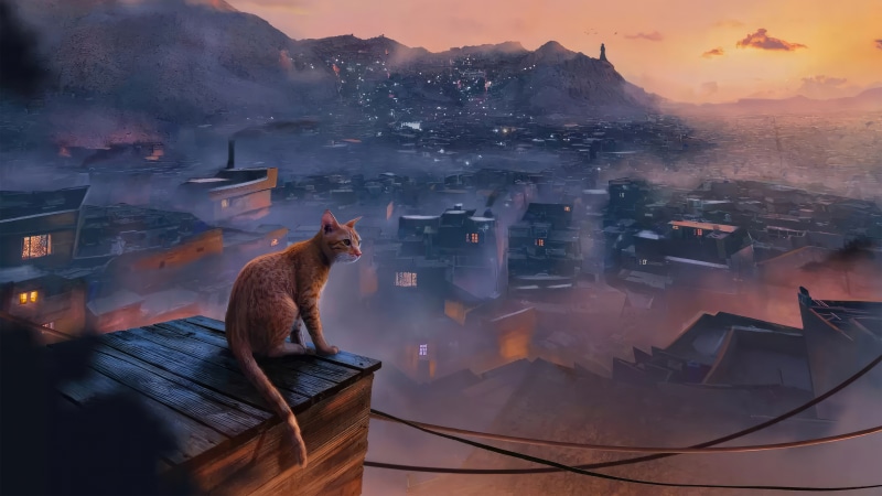 Orange cat on a rooftop overlooking a city at sunset