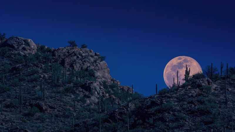 Full moon over desert mountains with saguaro cacti at night