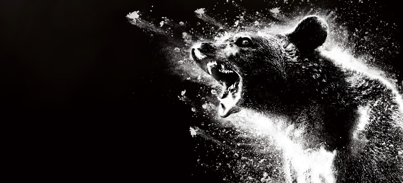 Cocaine Bear from Cocaine Bear 4K