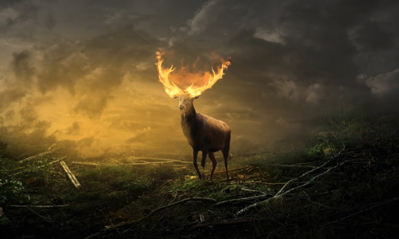 Deer with flaming antlers in a forest