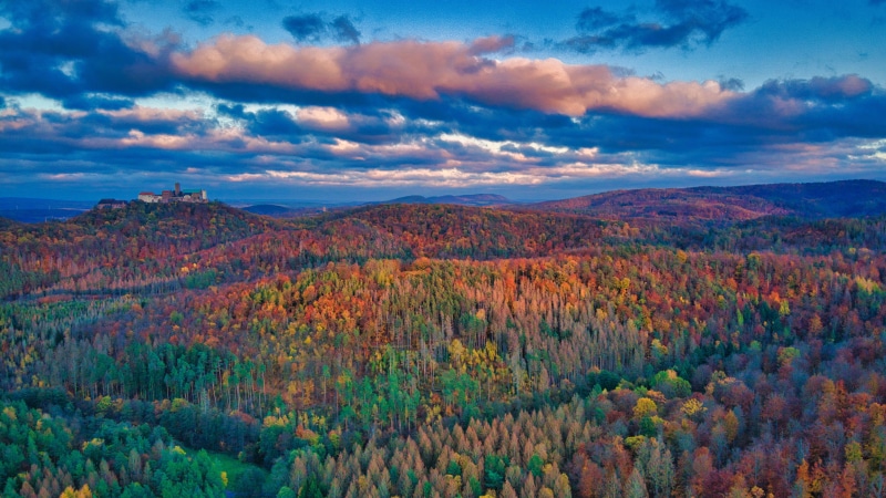 Castle on a hill overlooking autumn forest