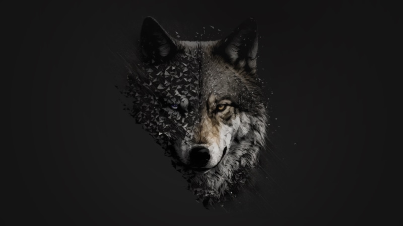 wolf, minimalism, minimalist, artist, artwork, digital art, hd, 4k ...