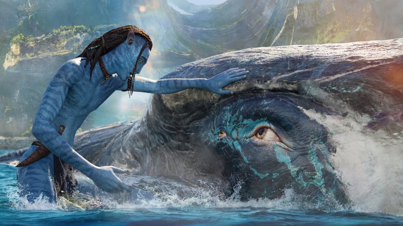 Avatar from Avatar: The Way of Water with a whale