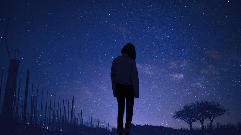 Anime girl looking at the starry sky