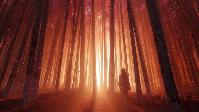 Girl walking through a magical forest with light beams