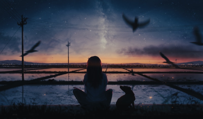 Anime girl and dog watching the starry sky over rice fields