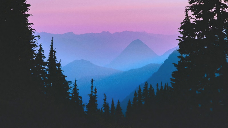 Silhouetted trees against purple and blue mountain layers