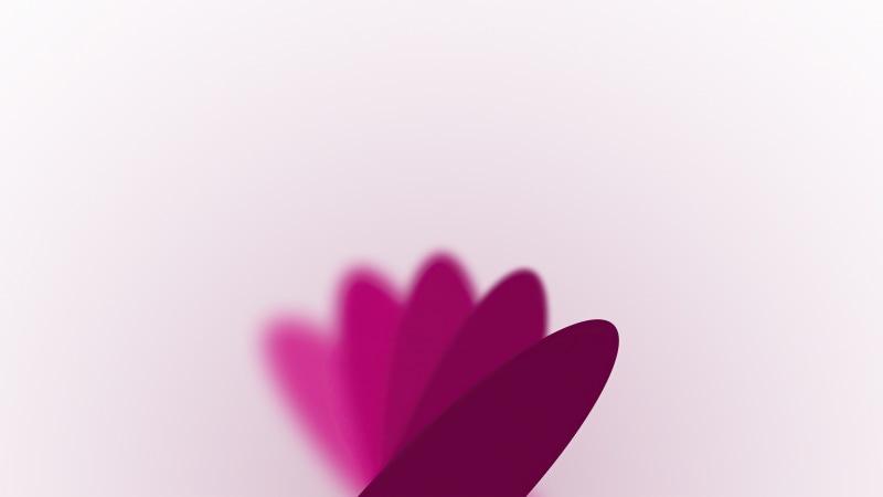 Pink flower petals with blur effect