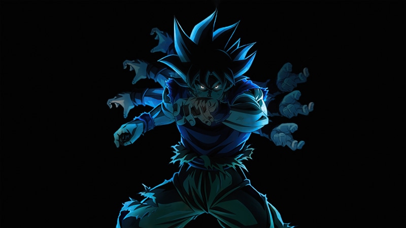 Goku from Dragon Ball Super with multiple arms