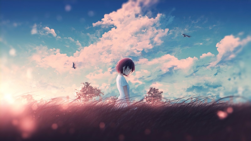 Anime girl in a field at sunset