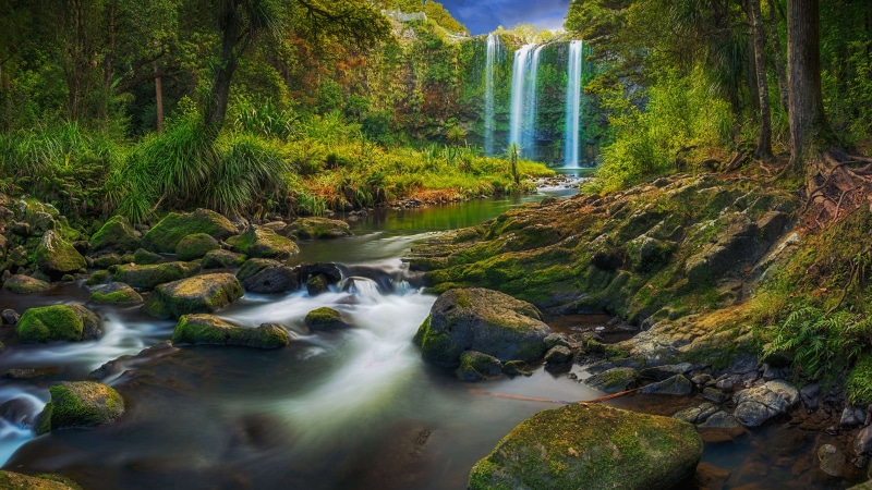 Waterfall in a lush green forest