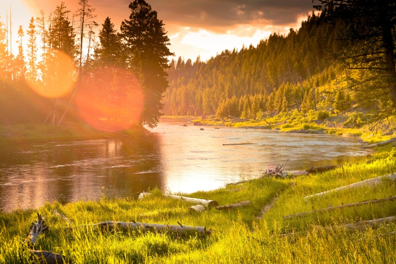 Sunset over a river in a national park