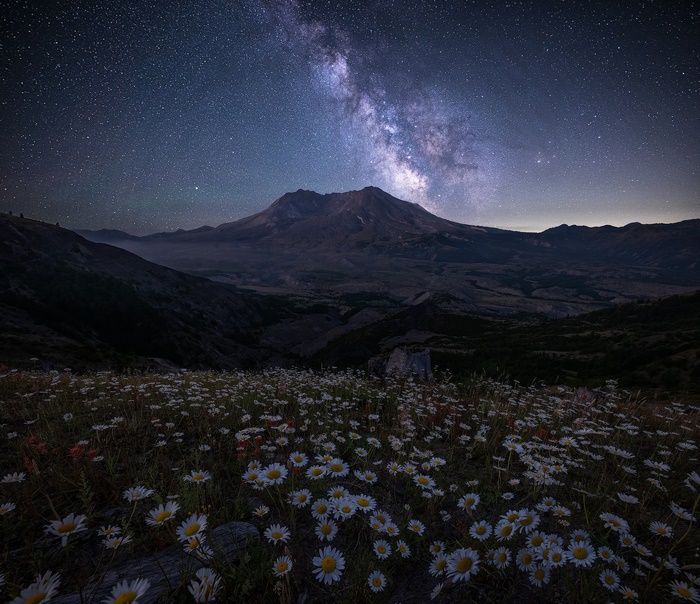 Milky Way over Mountain and Daisy Field at Night