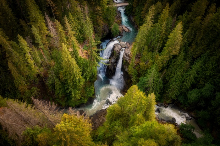 Forest Waterfall and River with Bridge 4K